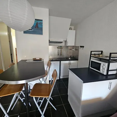 Studio Cabine A 150m De La Plage De Nauzan Avec Terrasse Et Parking, - Fr-1-550-70 Appartement *